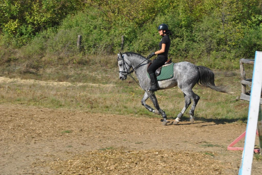 Teambuilding la Equester Riding Club Iași