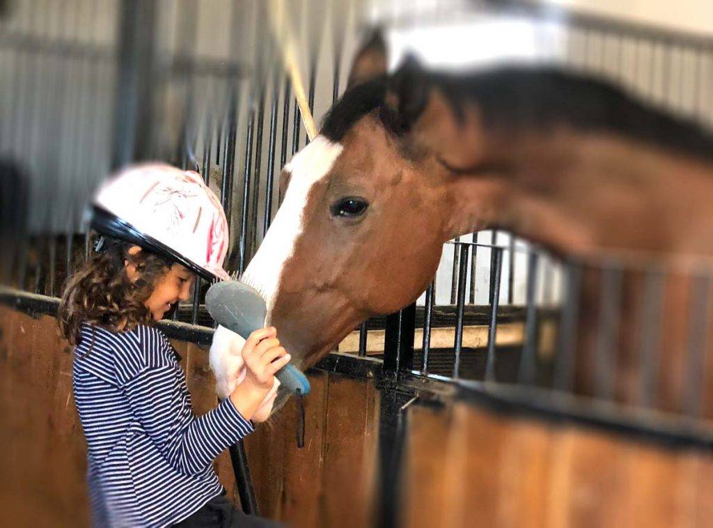 Terapia cu cai la copii - Equester Iasi