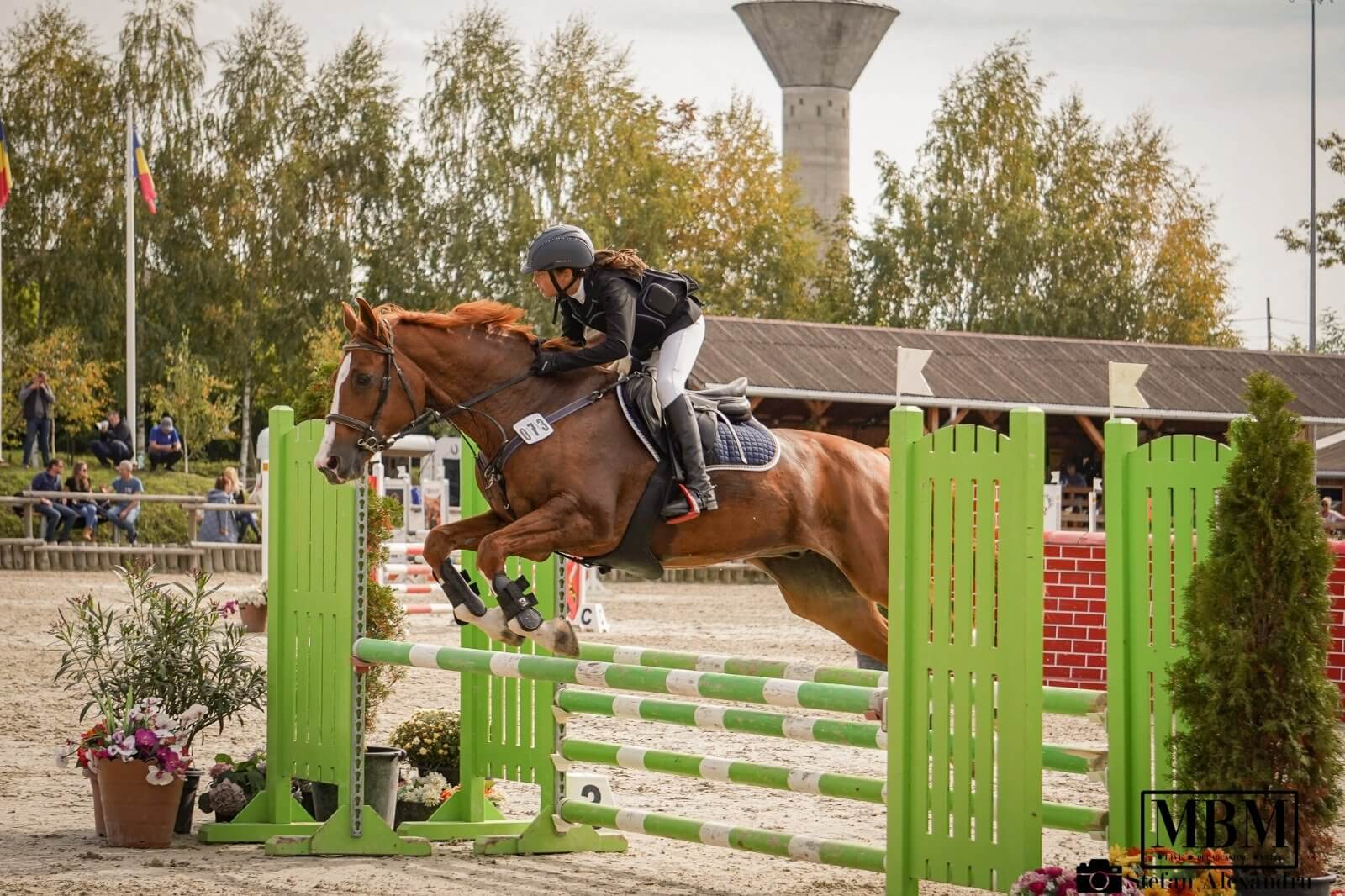 Clubul EQUESTER - Lecții de echitatie