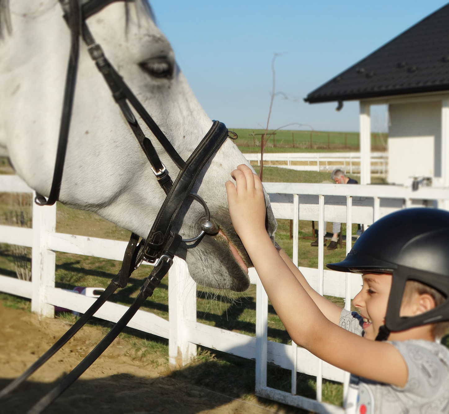 Equester - cum sa te apropii de un cal