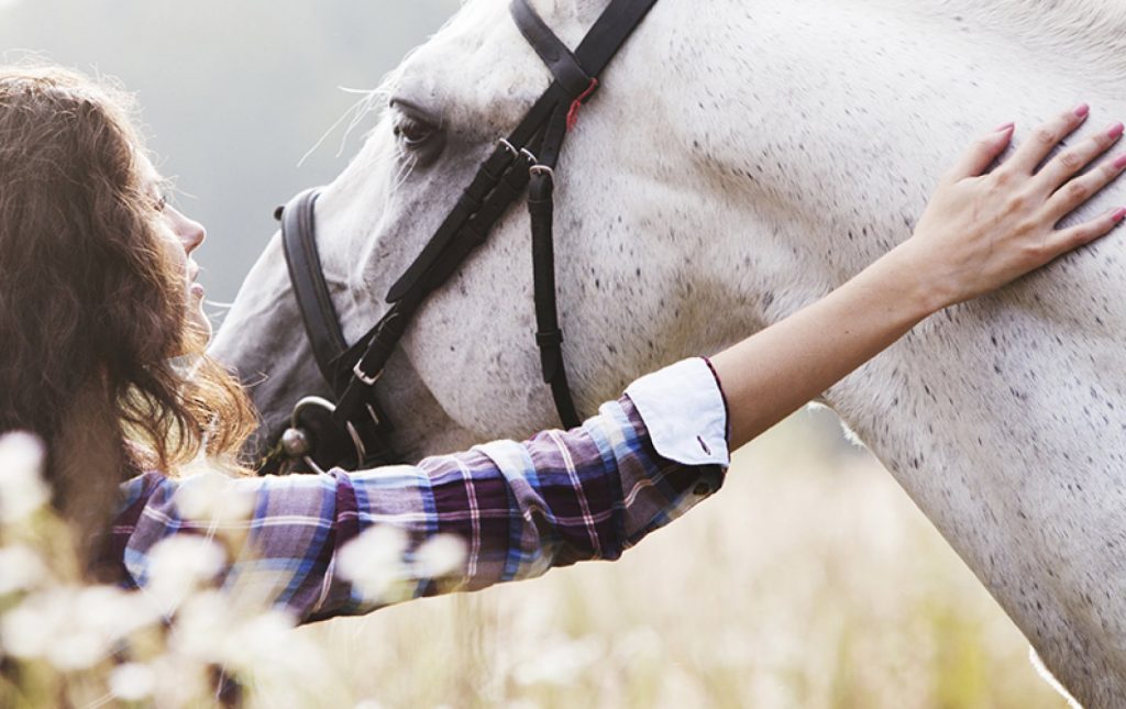 Terapia cu cai la adulti - Equester Iasi