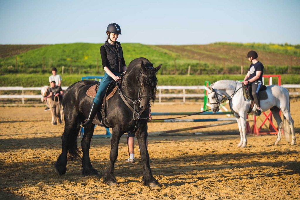 Articole utile despre cai - Clubul de echitatie Equester Iasi