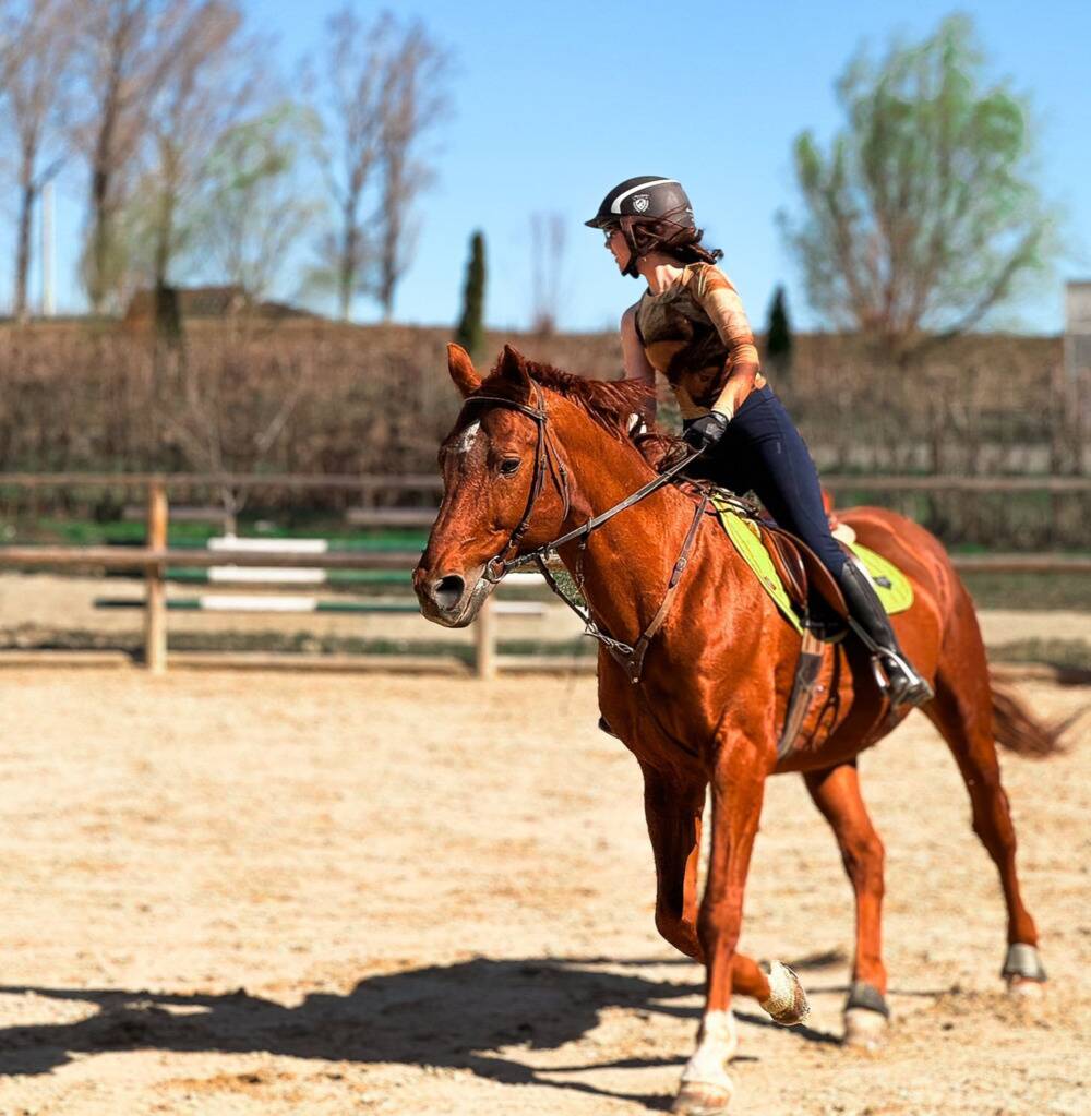 Simplon - caii Clubului Equester Iași