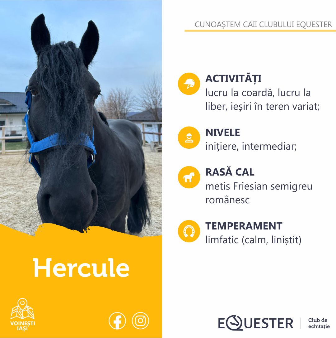 Profil cal Hercule