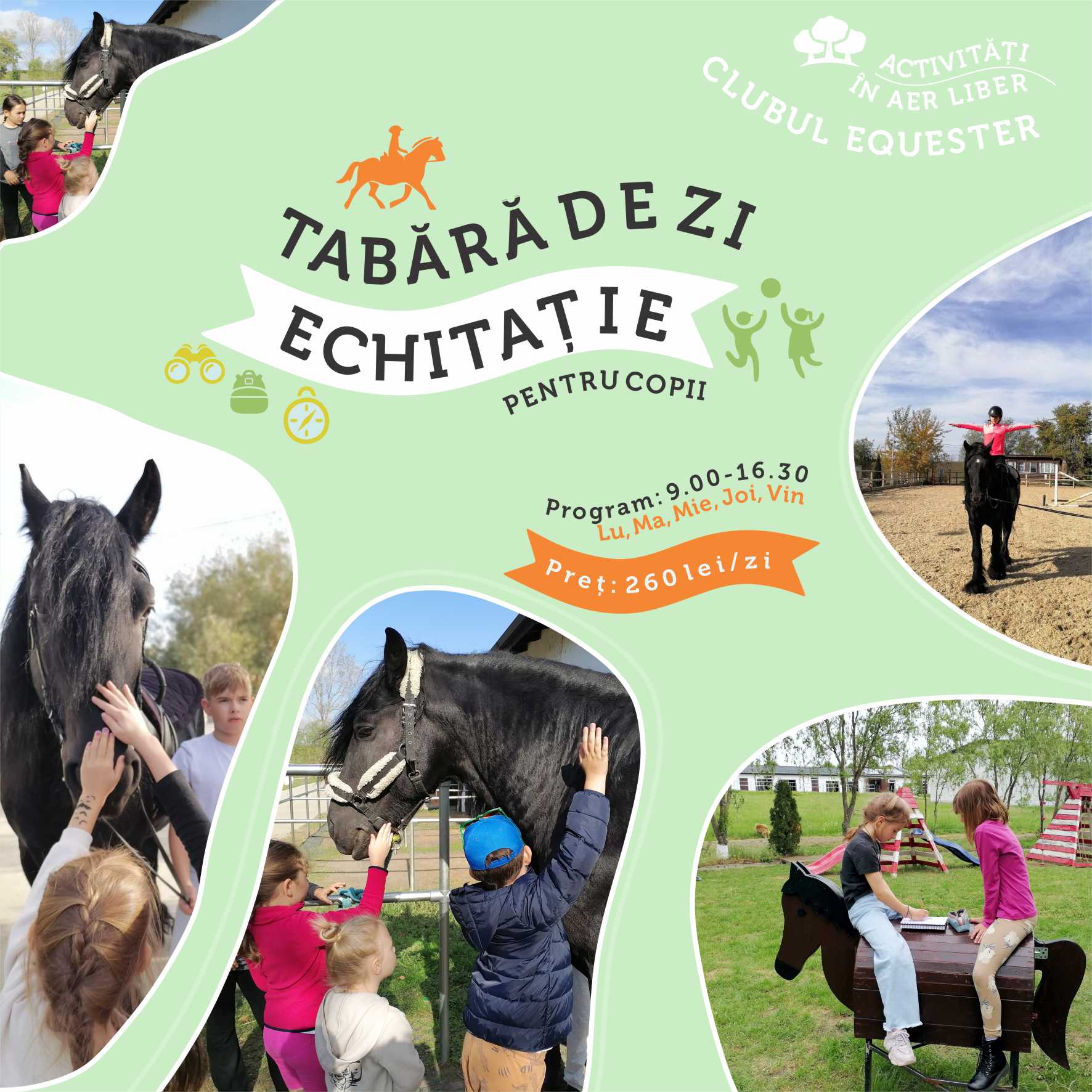 Tabara de echitatie copii - Clubul Equester 01